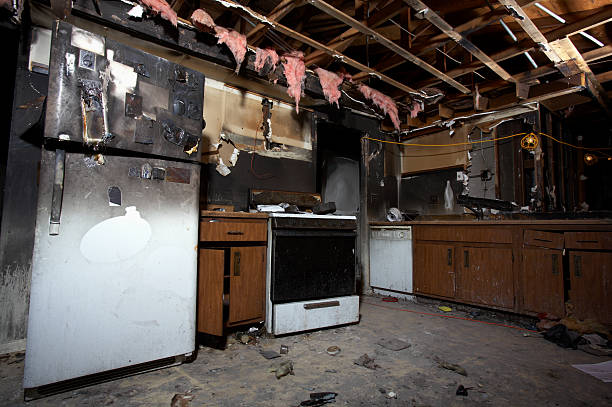Licensed Fire Damage Removal service in New Germany, MN - Fire Damage Flint